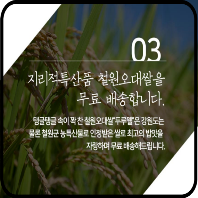 철원동신미곡처리장 두루웰철원오대쌀,[25년산DMZ햅쌀 철원동신미곡 ]두루웰철원오대쌀10KG*2 (천혜의 자연을 담은쌀)