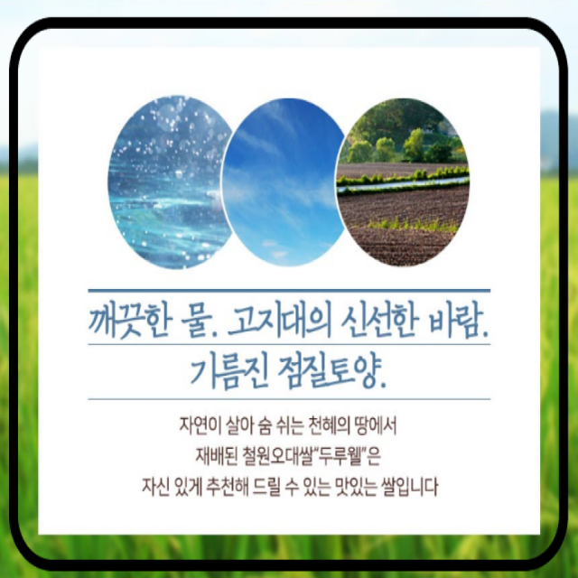 철원동신미곡처리장 두루웰철원오대쌀,[25년산DMZ햅쌀 철원동신미곡 ]두루웰철원오대쌀10KG*2 (천혜의 자연을 담은쌀)