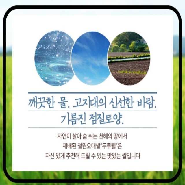 철원동신미곡처리장 두루웰철원오대쌀,[DMZ오대햇현미 철원동신미곡]10KG철원오대햇현미 (다이어트식&건강식으로 추천)