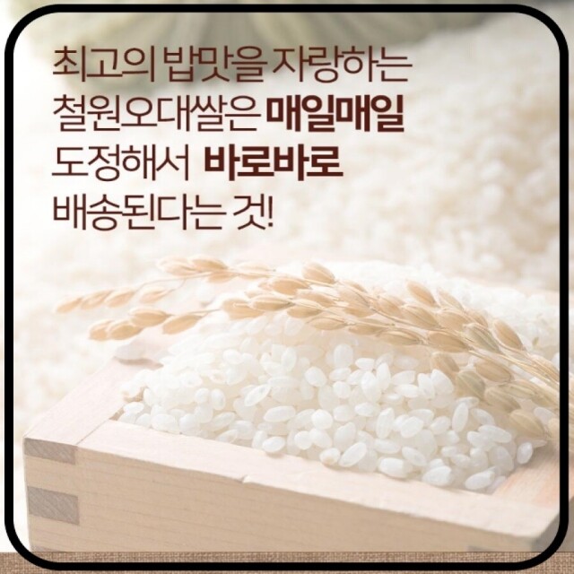 철원동신미곡처리장 두루웰철원오대쌀,[DMZ오대햇현미 철원동신미곡]10KG철원오대햇현미 (다이어트식&건강식으로 추천)