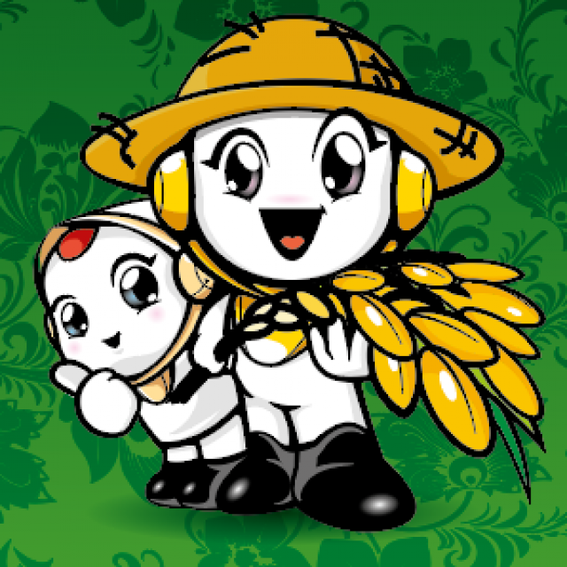 철원동신미곡처리장 두루웰철원오대쌀,[DMZ오대햇현미 철원동신미곡]10KG철원오대햇현미 (다이어트식&건강식으로 추천)